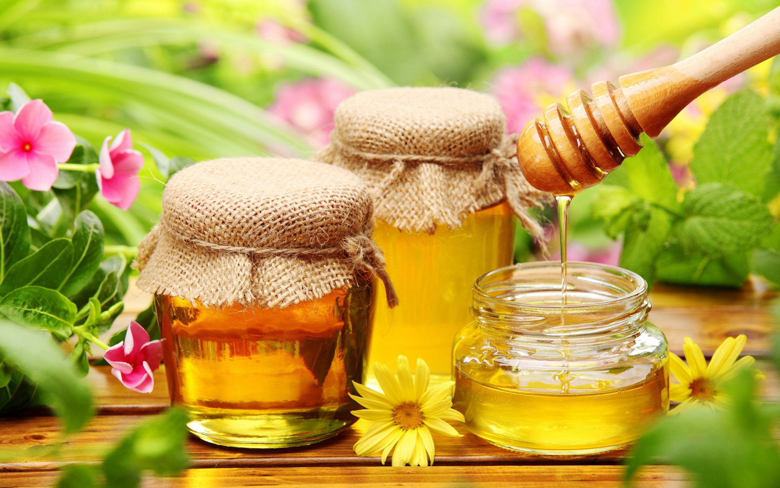 jars of honey with flowers