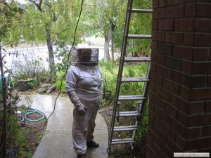 wendy dressed up and ready to remove bees