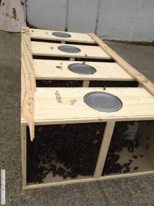 beehive on rentable hives