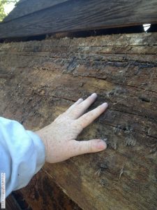 wendy with her hand on old wood