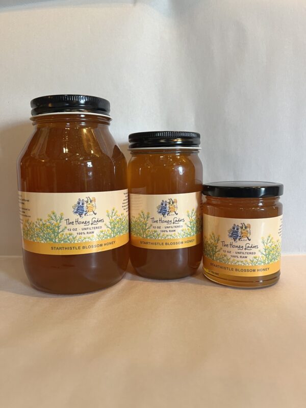 Starthistle Honey